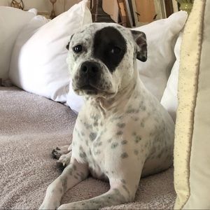 Meet your Posher, Brent